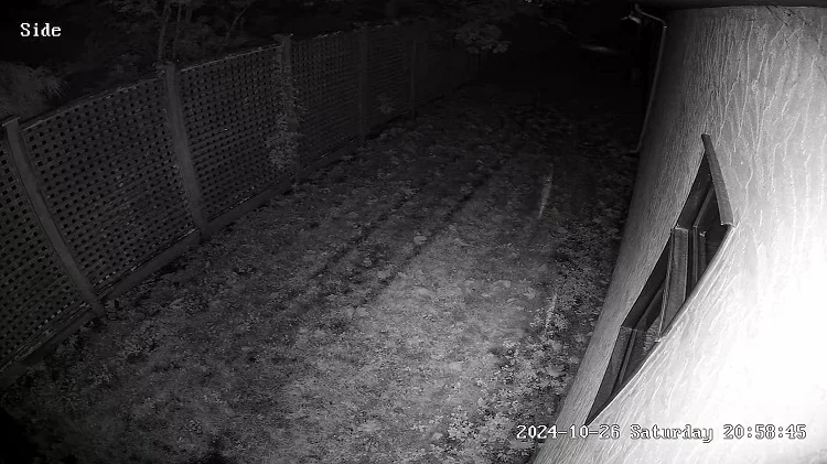 infrared night vision