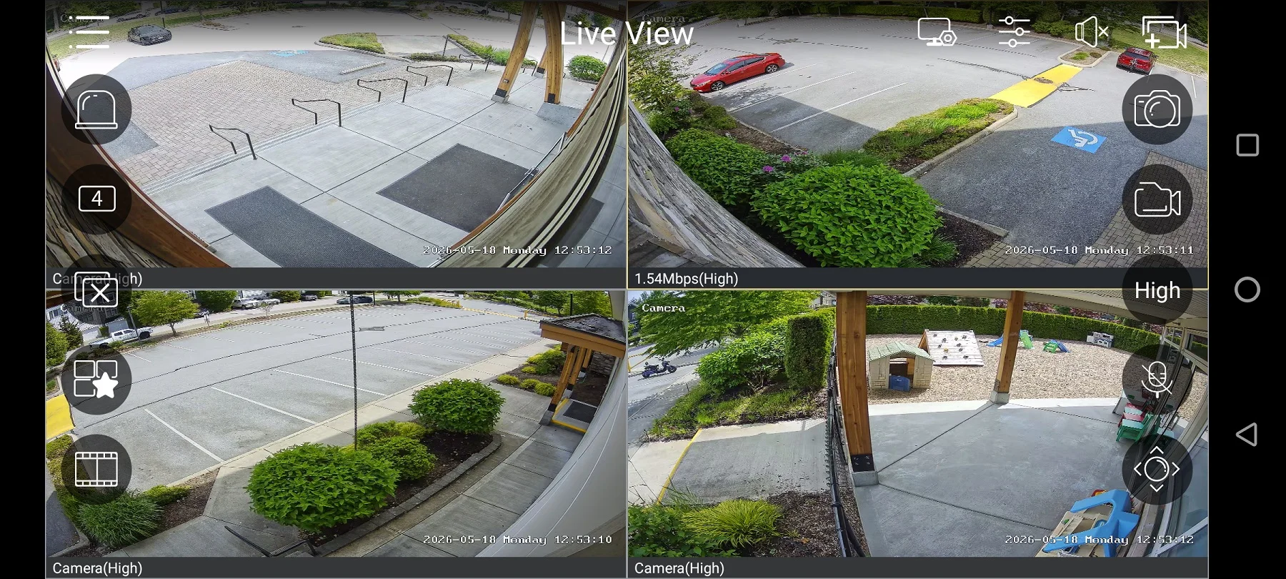 live view cameras