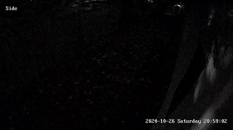 night vision