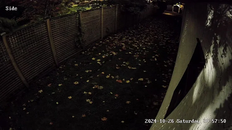star light night vision
